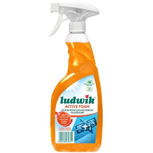 LUDWIK ACTIVE FOAM DO ZATŁUSZ.POWIERZ.EXOTIC FRUITS 600ML
