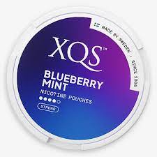 XQS Blueberry Mint x 10 ds